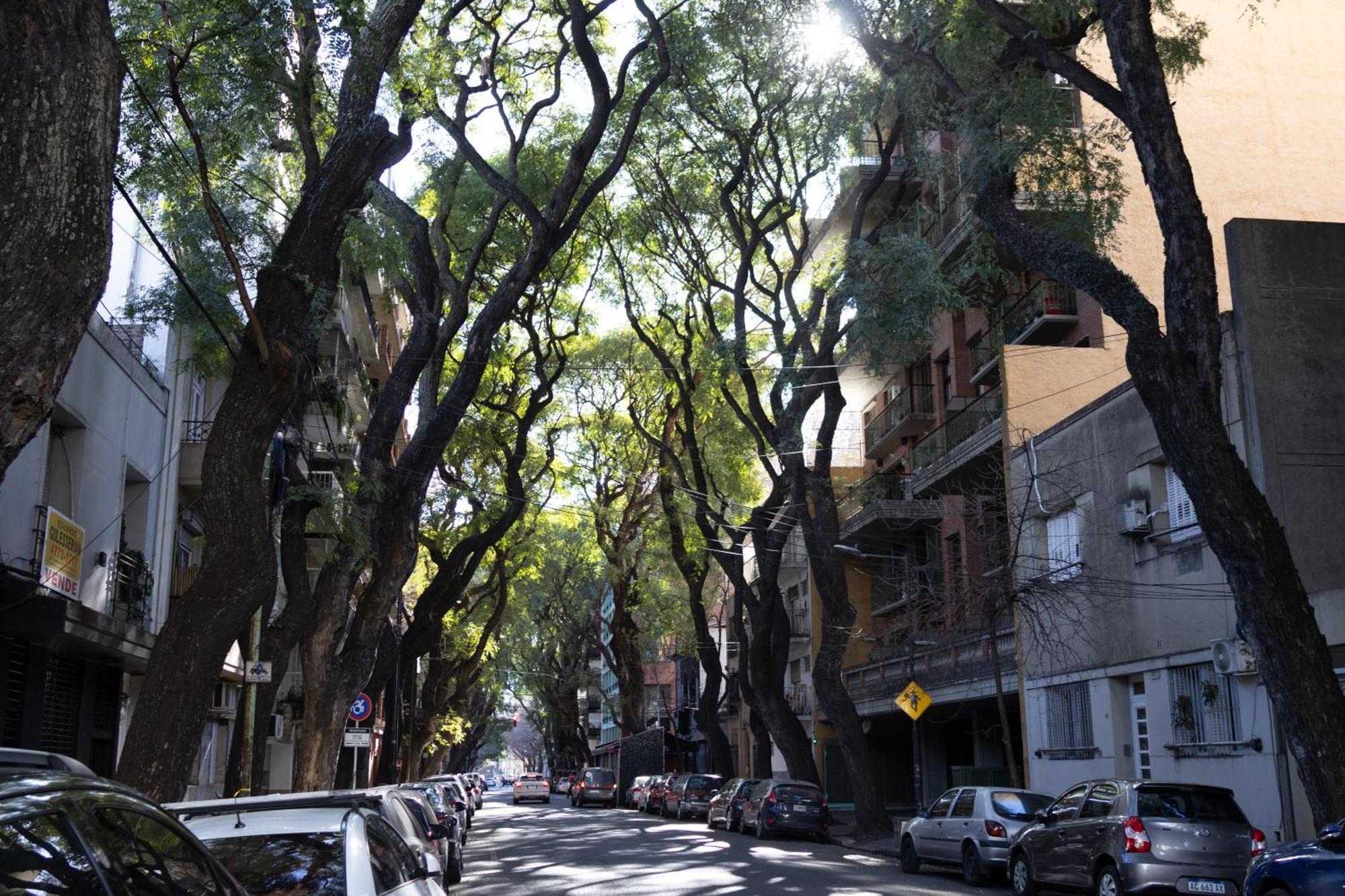 Appartamento Palermo Soho G4827 - Departamentos Modernos, Amplios Y Luminosos Buenos Aires Esterno foto