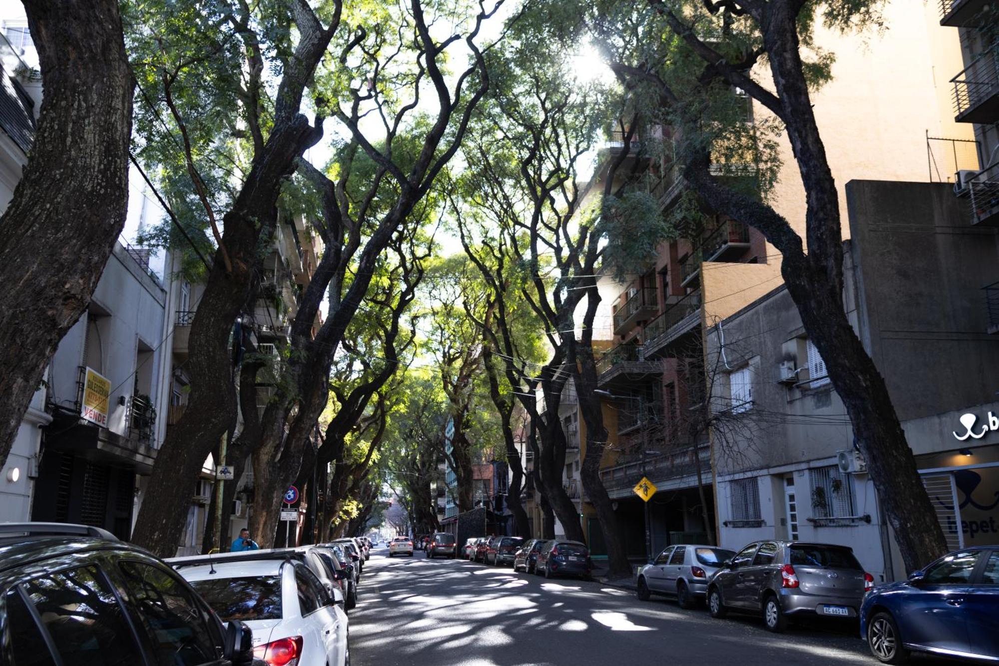 Appartamento Palermo Soho G4827 - Departamentos Modernos, Amplios Y Luminosos Buenos Aires Esterno foto